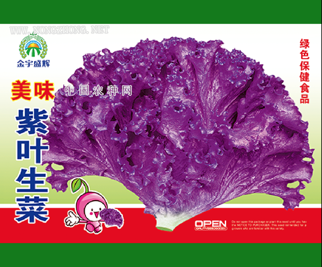 美味紫叶生菜